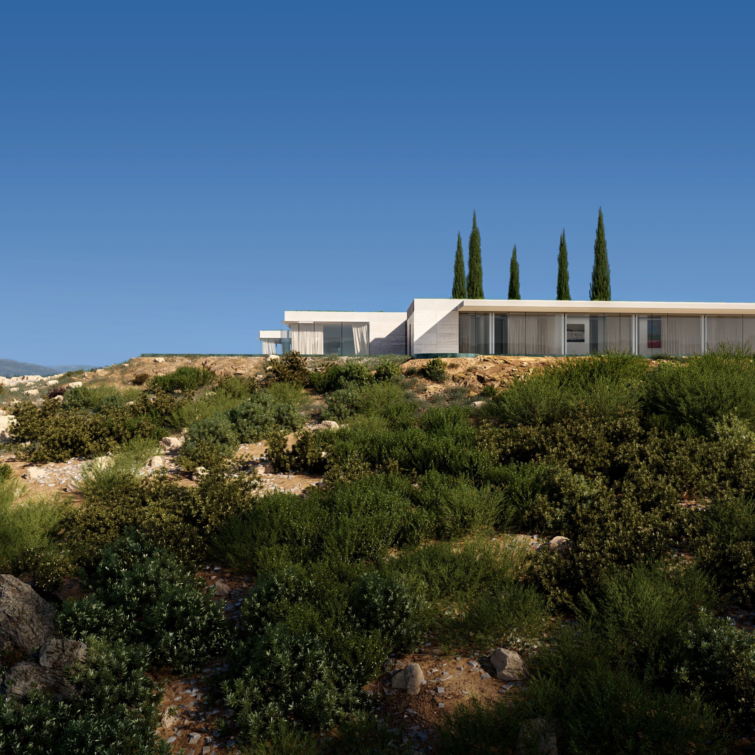 Immagine di Alex - Prime Class #1