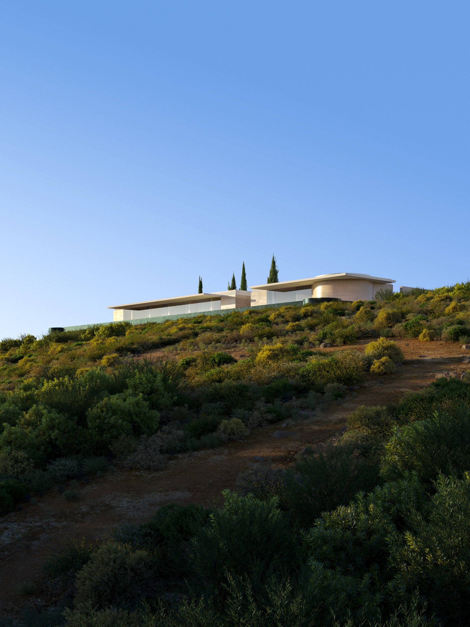 Immagine di Luca - Prime Class #1